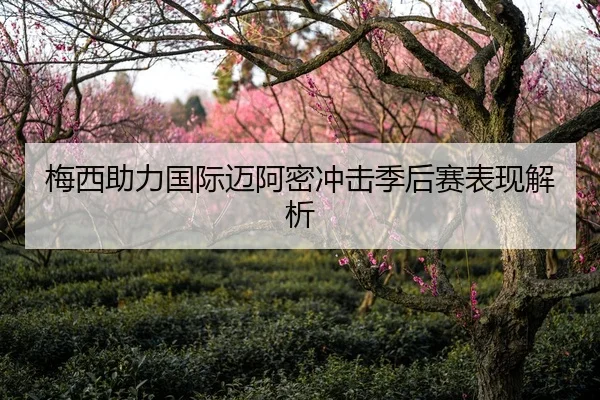 梅西助力国际迈阿密冲击季后赛表现解析